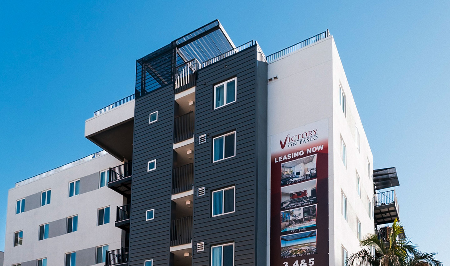 sdsu student housing options